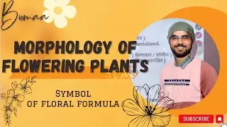 symbol of floral formula I morphology of flowering plant I Science #CBSC #RBSC #mgsubikaner
