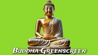 Greenscreen Buddha Video Background Change HD Chromakey VFXMAN | Buddha Green Screen Video footage