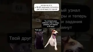 Актуалочка😹 