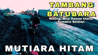 tambang batubara di nibung, musi rawas utara, sumatra-selatan