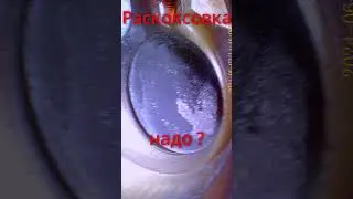 Подскажите, нужна ли раскоксовка?
