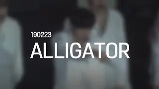 [Monsta X/Minhyuk] 190223 Z-pop 'Alligator'