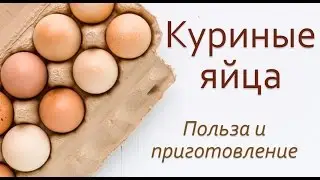 Сырые и вареные куриные яйца.  Польза куриных яиц.