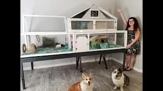46 SQFT GIANT DIY Guinea Pig Cage Tour