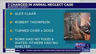 Four dogs surrendered to humane society, two Bedford County men charged