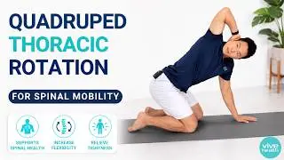 Quadruped Thoracic Rotation for Spine Mobility