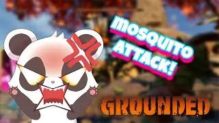 [Part 5] Dipping My Toes In The Pond (Grounded)
