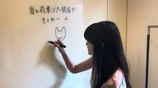 ツアー行こうか迷っている方に猫が背中を押す動画