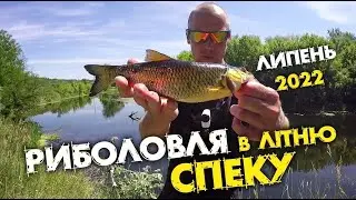 Ви БАЧИЛИ як КЛЮНУВ ОКУНЬ? ДИНАМІЧНА РИБАЛКА СПІНІНГОМ в ЛІТНЮ СПЕКУ !