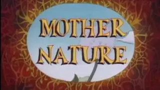Pequeno urso - Mãe natureza 🍃