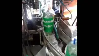 Sachetadora de sifones Pitoco