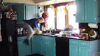 Caught in 4K! 😱 Best Security Camera Fails of the Year!