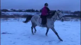 2  препятствия ...легко  прыгнуть - трудно не сбить )