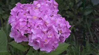Сочи адлер холодная весна