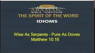 Wise as Serpents-Pure as Doves