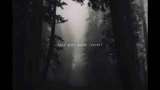 Days gone quiet - lewis capaldi (cover)
