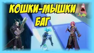 PALADINS: БАГ И КОШКИ-МЫШКИ