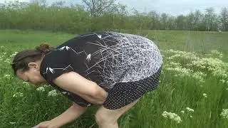 VID 20190513 163110
