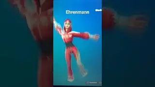 Ehrenmann