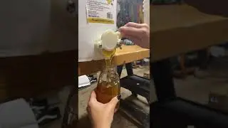 Pouring Honey Tiktok thebirds and thebees