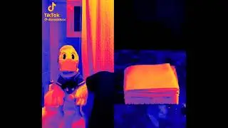 Donaldducc YTP because why not XD