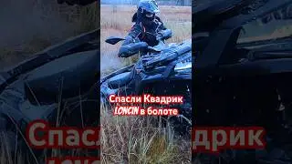 Ковровое болото рвётся 