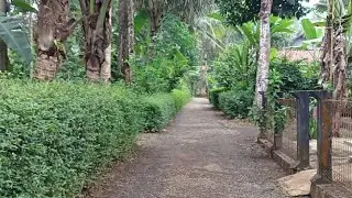 Menunggu