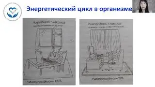 Школа здорового питания. Урок №1: Законы питания
