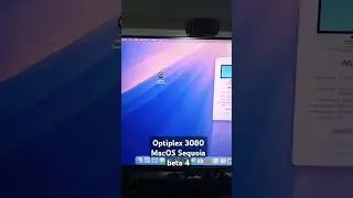 Dell Optiplex 3080 Micro MacOS Sequoia Beta 4