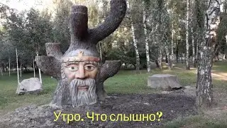 Утро. Что слышно?