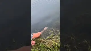 Hand fishing