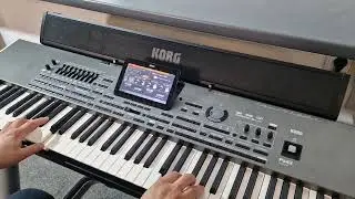 Style & Musette + Accordeon / Korg pa4x M Edition