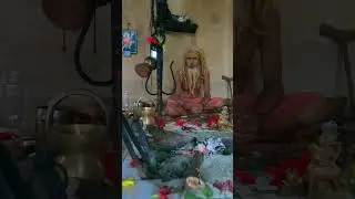 સાવજો વચ્ચે જંગલમાં રહેતા જંગલી બાપૂ || Jungali Bapu || Milan Danidhariya
