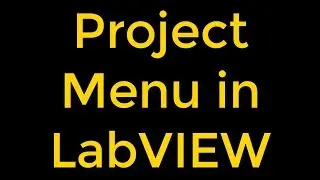 National Instruments LabVIEW - How to Use Project Menu?