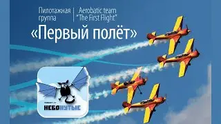 Пилотажная группа 