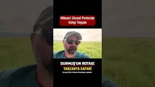 Mikumi Ulusal Parkı Safari / Durmuş'un Rotası