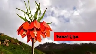 Awazê Çiya -Xakurkê