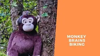 Monkey Brains Biking