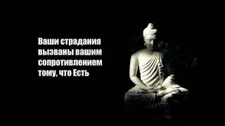 10 цитат от Будды для начала нового года