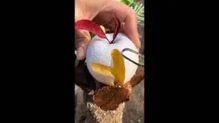 🤩😱Farm Fresh Ninja Fruit | Ajoyib |Вы еще этого не видели😍#mr