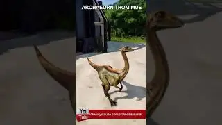 Archaeornithomimus 