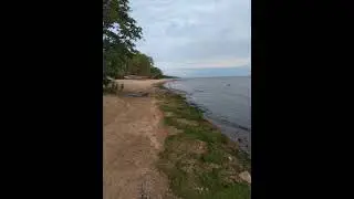 №49 Выравнивание, восстановление, очистка структур костей