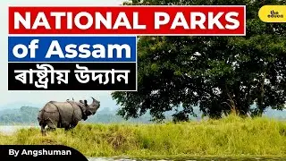 National Parks of Assam