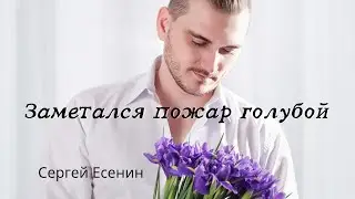 Заметался пожар голубой — Сергей Есенин