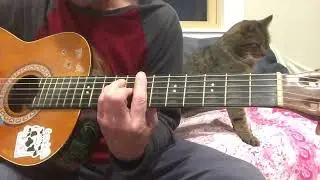 Tonight’s The Night Rod Stewart cover