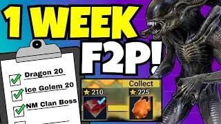 PROGRESS FAST - 1 Week F2P - Lv20 Dungeons, NM CLAN BOSS & More!!! [Raid: Shadow Legends]