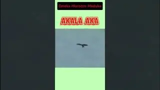 Akalaka - Emeka Morocco #emeka #highlife
