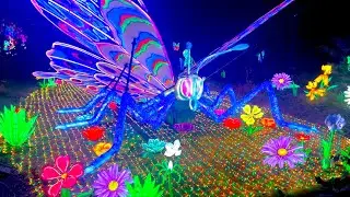 Boston Lights 2024