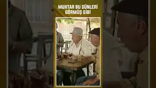 Aç Gözlüler Sömürdü Memleketi! #yazlıkçılar  #yazlıkçılardizisi  #shorts