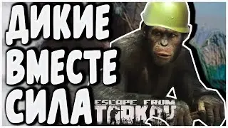 Тарков - Дикие вместе сила! | Short